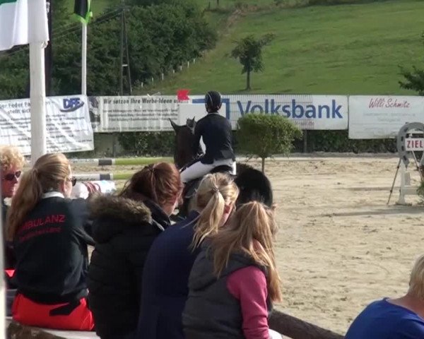 Reitturnier Lindlar-Süttenbach 2015