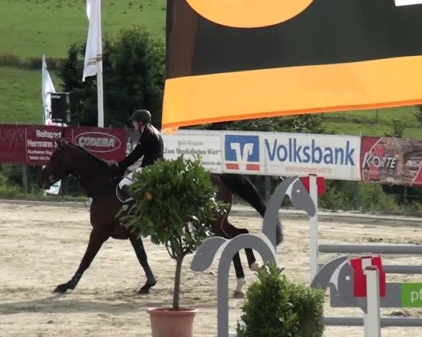 Reitturnier Lindlar-Süttenbach 2015