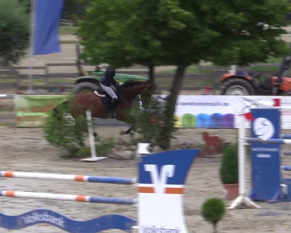 Reitturnier Münster-Roxel 2015
