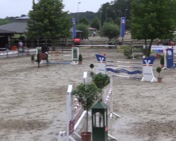 Reitturnier Münster-Roxel 2015