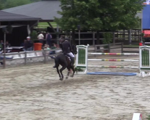 Reitturnier Münster-Roxel 2015