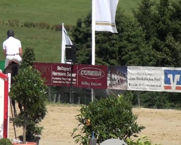 Reitturnier Lindlar-Süttenbach 2015