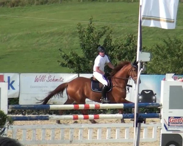 Reitturnier Lindlar-Süttenbach 2015