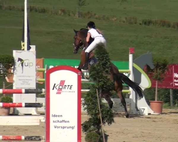 Reitturnier Lindlar-Süttenbach 2015