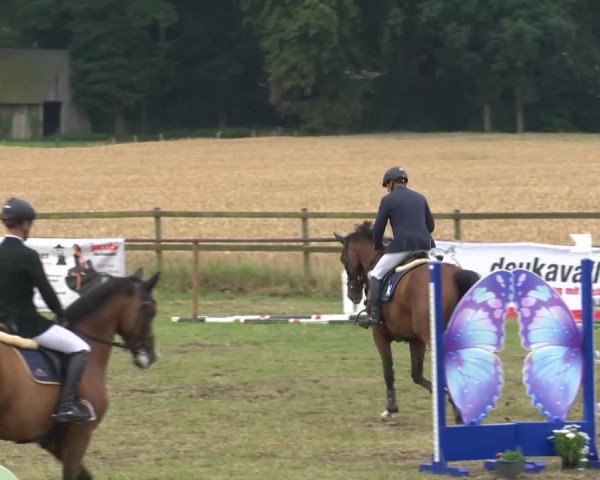 Reitturnier Ahlhorn 2015