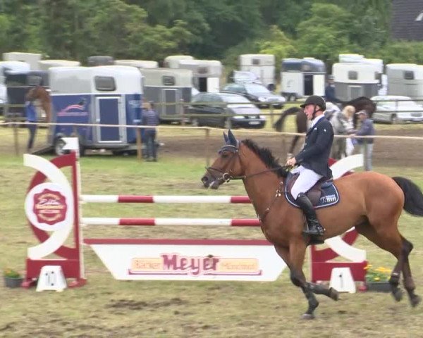 Reitturnier Ahlhorn 2015