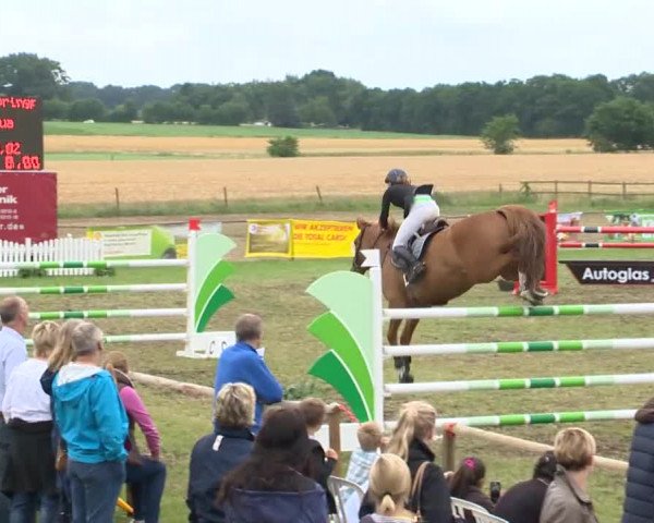 Reitturnier Ahlhorn 2015