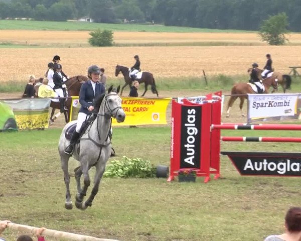 Reitturnier Ahlhorn 2015