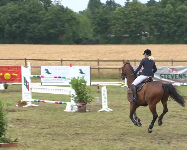 Reitturnier Ahlhorn 2015