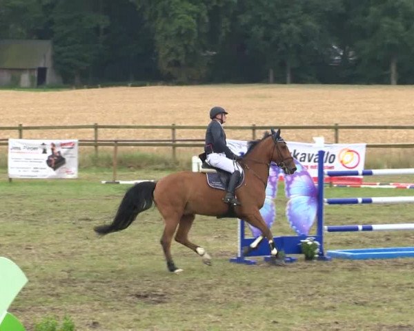 Reitturnier Ahlhorn 2015