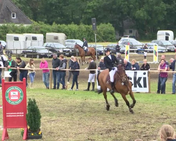 Reitturnier Ahlhorn 2015