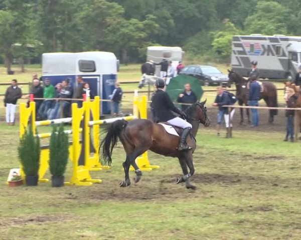 Reitturnier Ahlhorn 2015