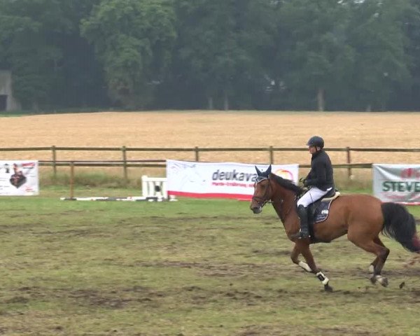 Reitturnier Ahlhorn 2015