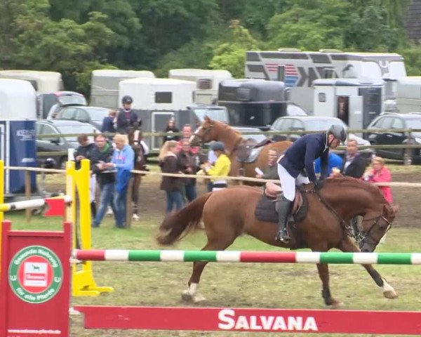 Reitturnier Ahlhorn 2015