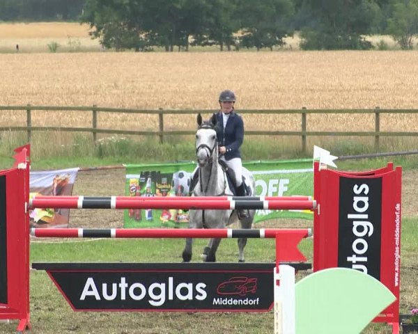 Reitturnier Ahlhorn 2015