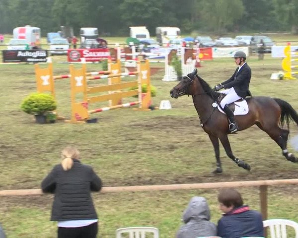 Reitturnier Ahlhorn 2015