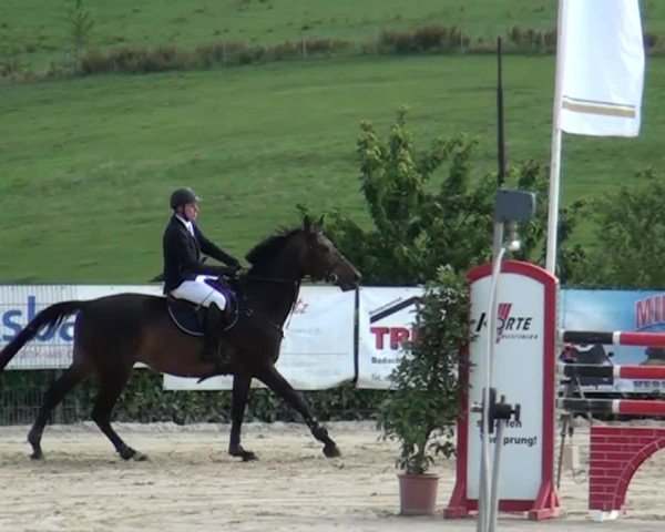 Reitturnier Lindlar-Süttenbach 2015