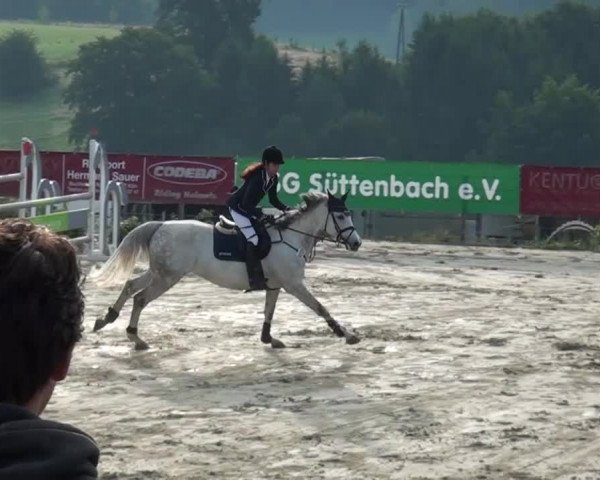 Reitturnier Lindlar-Süttenbach 2015