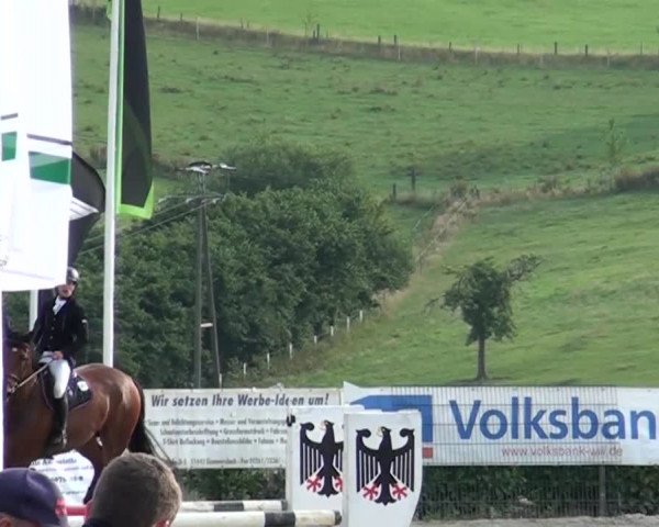 Reitturnier Lindlar-Süttenbach 2015