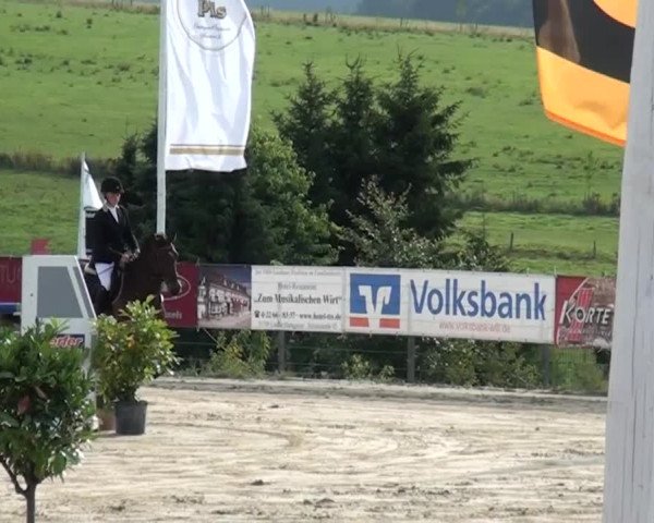 Reitturnier Lindlar-Süttenbach 2015