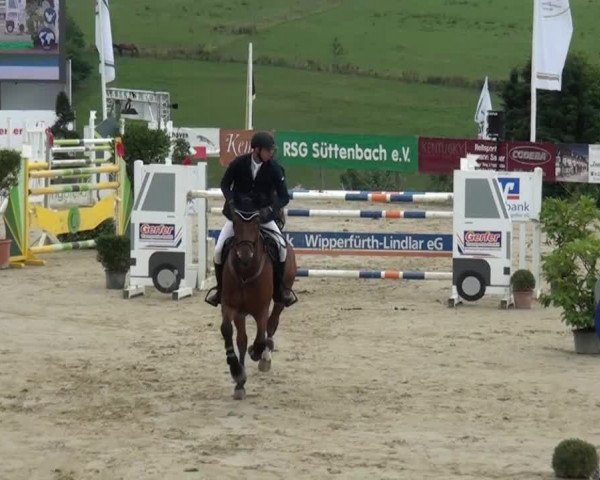 Reitturnier Lindlar-Süttenbach 2015