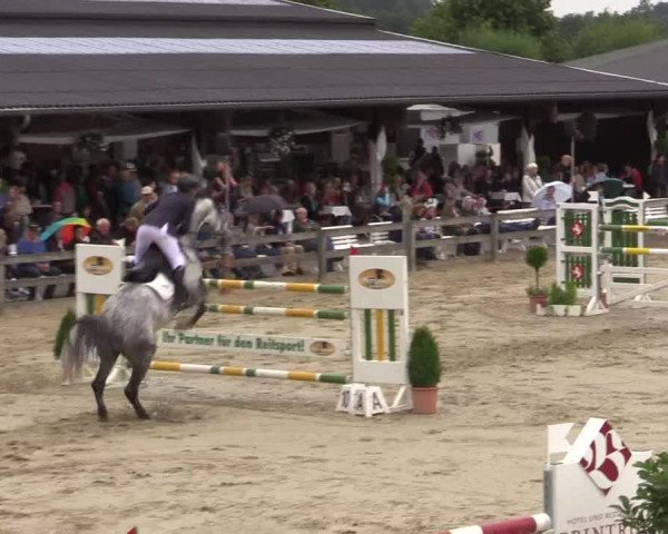 Reitturnier Münster-Roxel 2015
