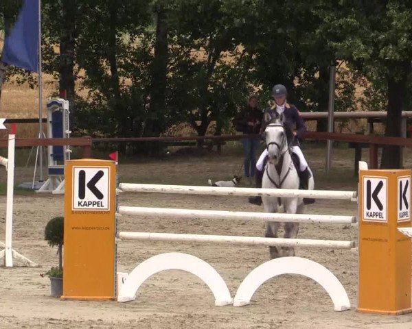 Reitturnier Münster-Roxel 2015