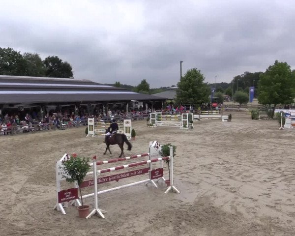 Reitturnier Münster-Roxel 2015
