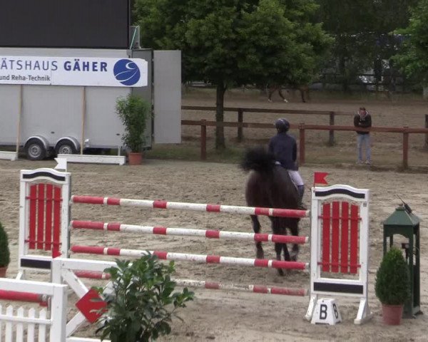 Reitturnier Münster-Roxel 2015