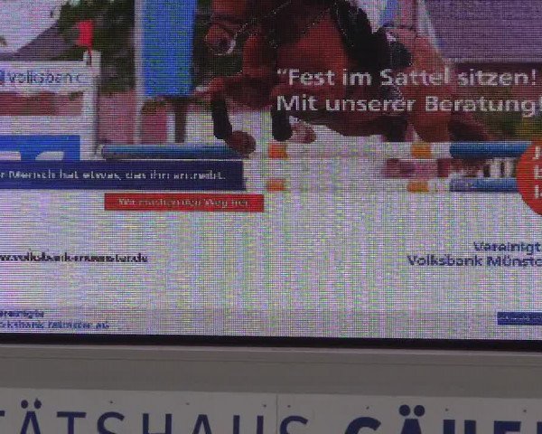 Reitturnier Münster-Roxel 2015