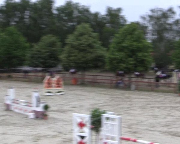 Reitturnier Münster-Roxel 2015