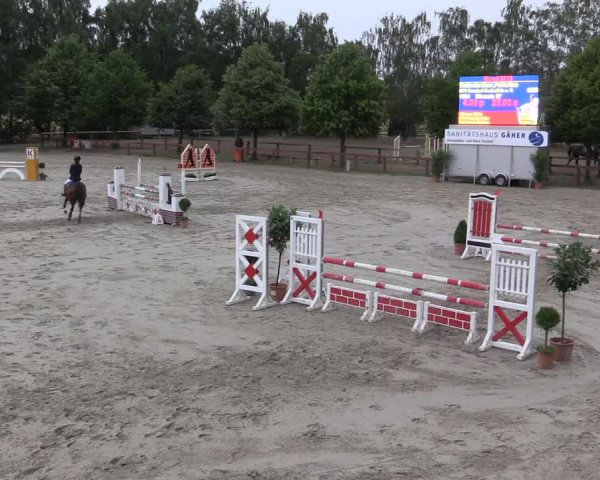 Reitturnier Münster-Roxel 2015