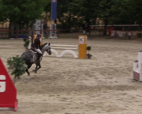 Reitturnier Münster-Roxel 2015