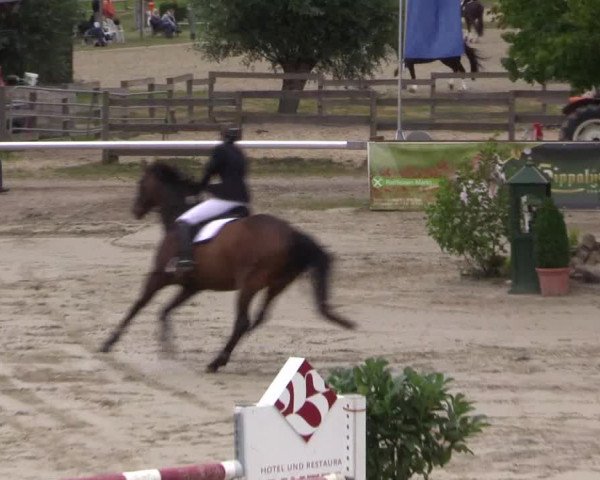 Reitturnier Münster-Roxel 2015