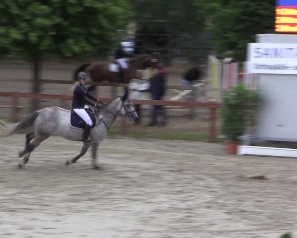 Reitturnier Münster-Roxel 2015
