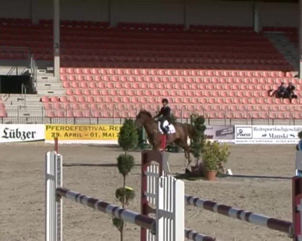 Reitturnier Redefin 2015