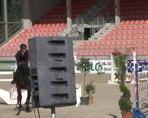 Reitturnier Redefin 2015