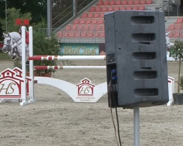 Reitturnier Redefin 2015