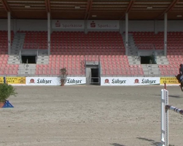 Reitturnier Redefin 2015