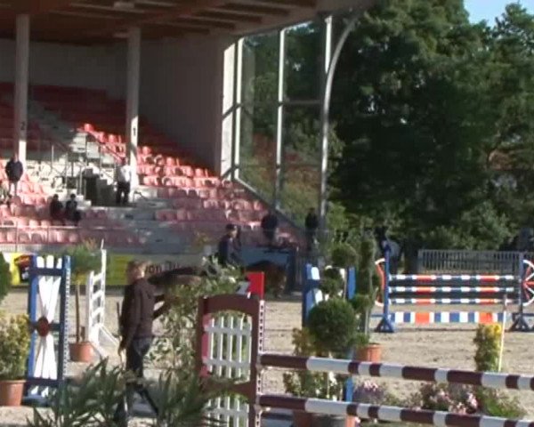Reitturnier Redefin 2015