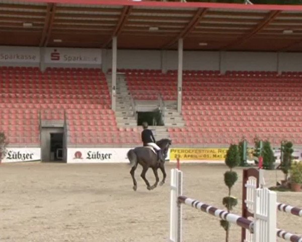 Reitturnier Redefin 2015