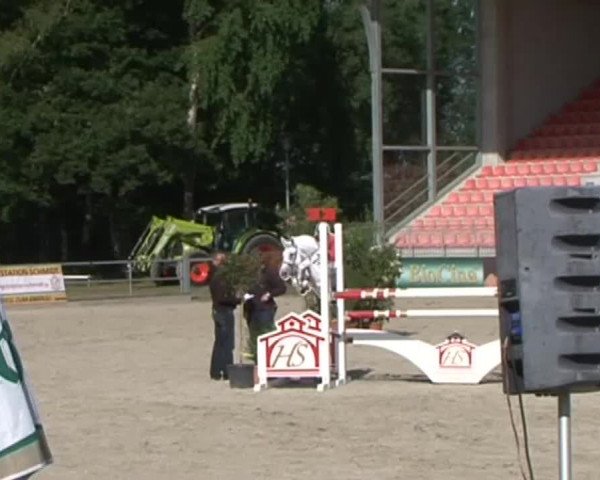 Reitturnier Redefin 2015