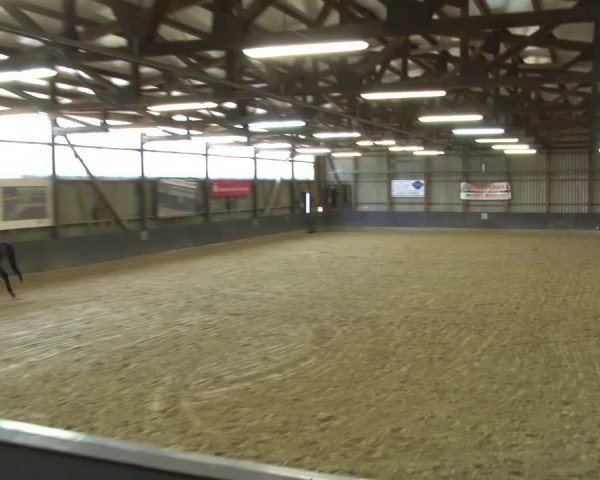 Reitturnier Grefrath - Reitanlage Heitzerend 2015