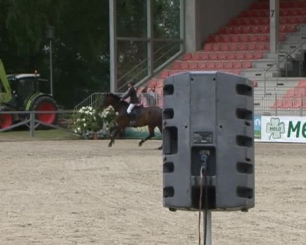 Reitturnier Redefin 2015