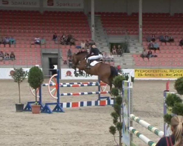 Reitturnier Redefin 2015