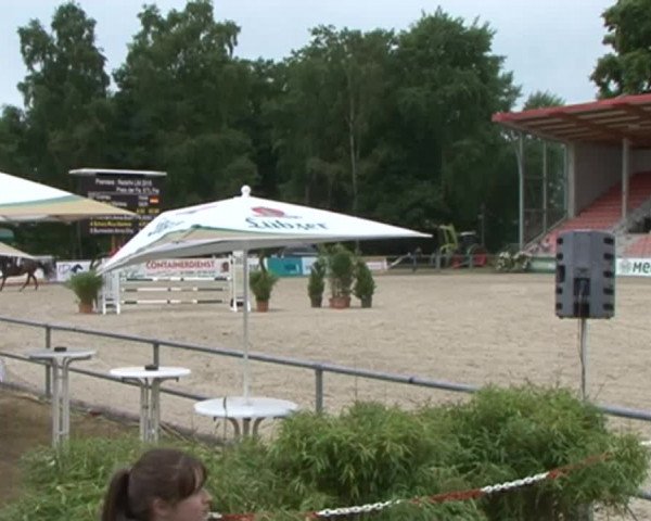 Reitturnier Redefin 2015