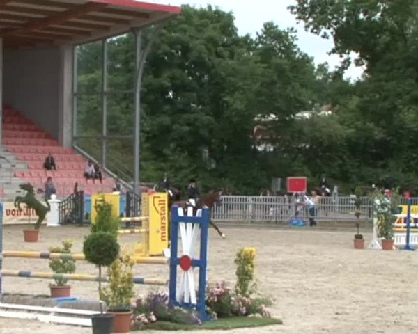 Reitturnier Redefin 2015