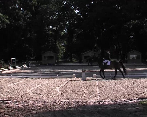 Reitturnier Redefin 2015