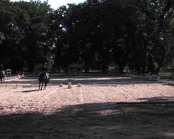 Reitturnier Redefin 2015