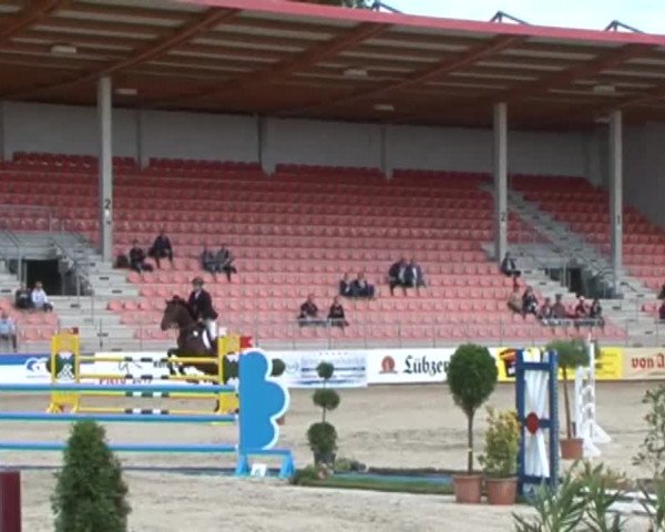 Reitturnier Redefin 2015